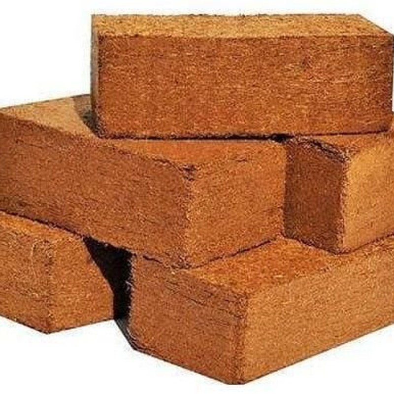 Coco Peat