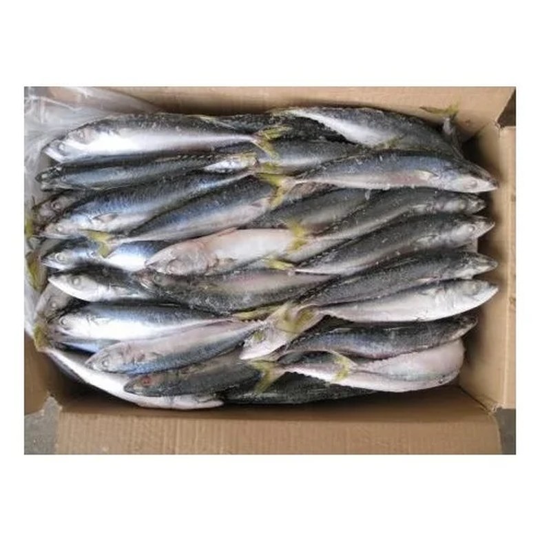 Dried Fish